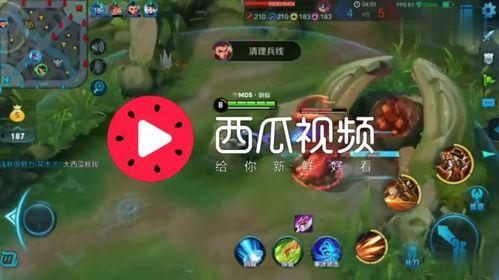 吃瓜娱乐背景音乐叫什么 第3张 吃瓜娱乐背景音乐叫什么 第3张