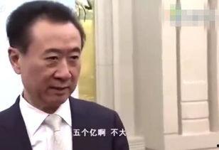 娱乐吃瓜酱王健林,从商业巨头到娱乐吃瓜酱王，揭秘他的跨界传奇  第3张