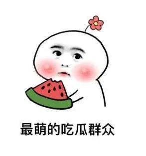 娱乐圈吃瓜明星沙雕动漫,沙雕明星与爆笑动漫的跨界狂欢  第3张